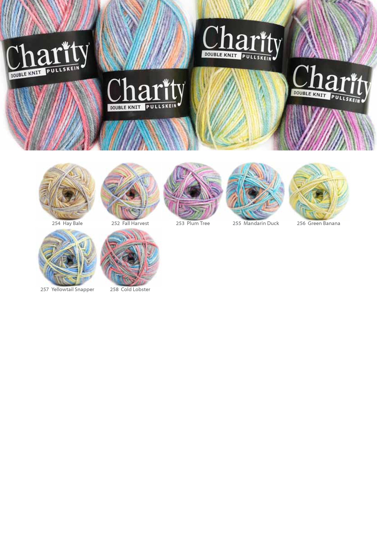 Charity Double Knit Print (100g)
