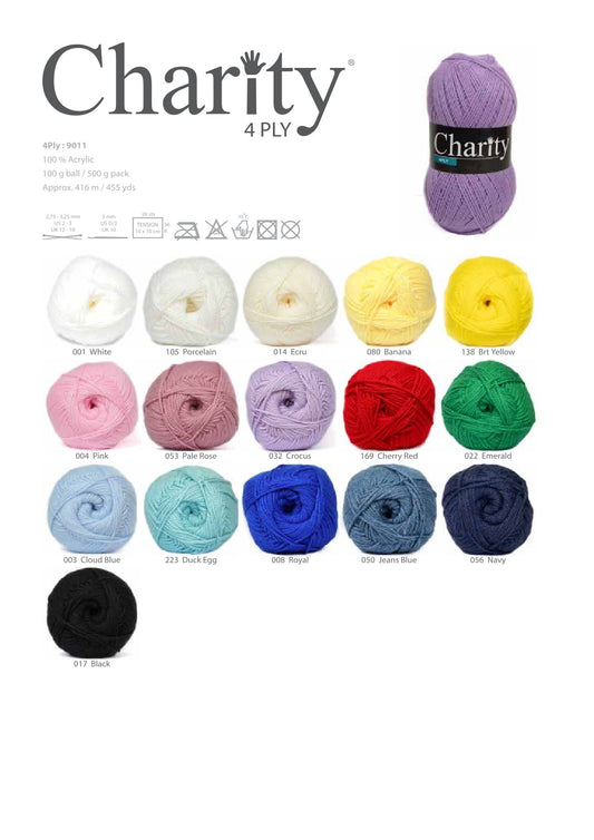 Charity 4Ply (100g)