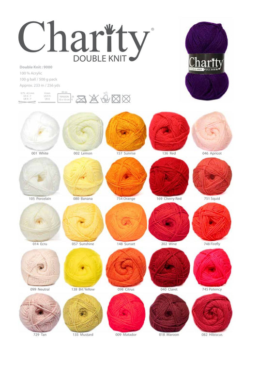 Charity Double Knit Plain (100g)