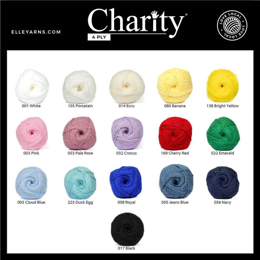 Charity 4Ply (100g)